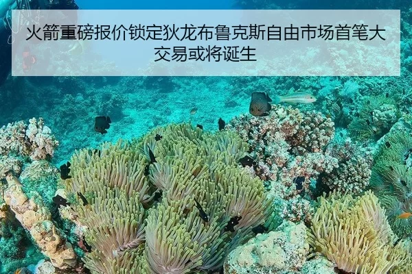 huo-jian-zhong-bang-bao-jia-suo-ding-di-long-bu-lu-ke-si-zi-you-shi-chang-shou-bi-da-jiao-yi-huo-jiang-dan-sheng-2-588.jpg